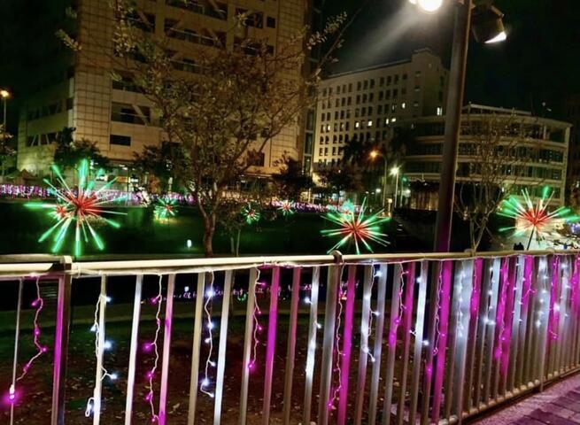 绿柳灯饰伴年节-过年出游好选择