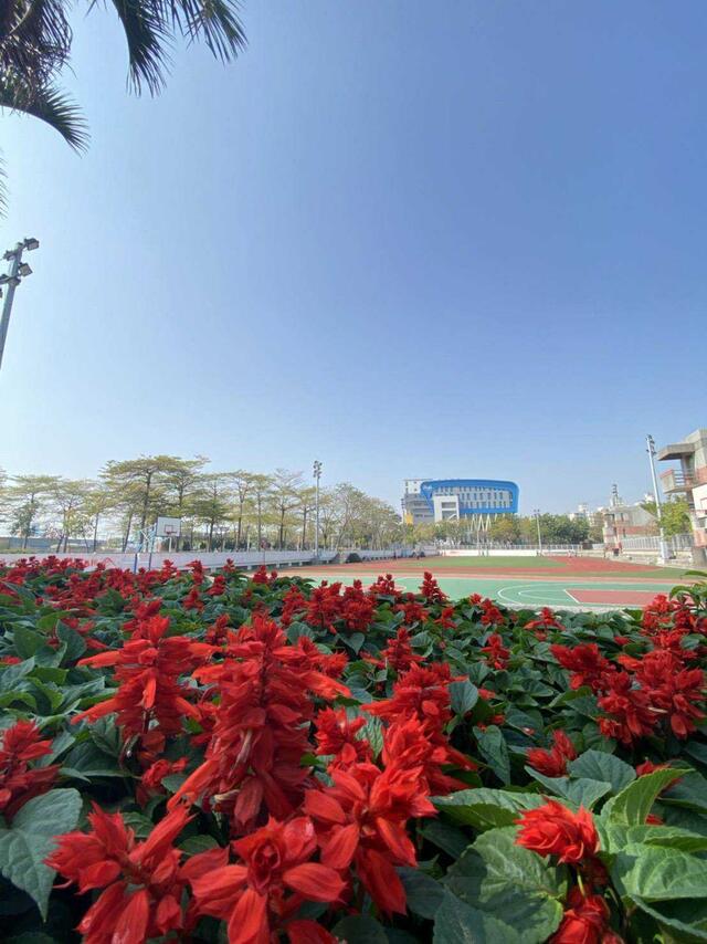 運動局因應春節假期打造花卉亮點景觀