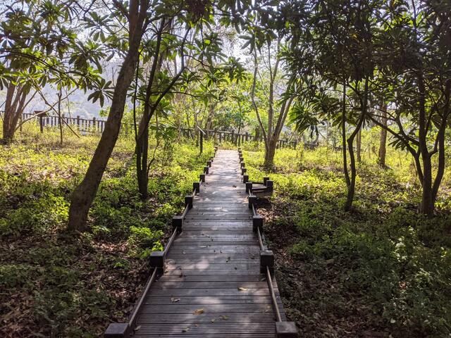 生態園區全齡步道