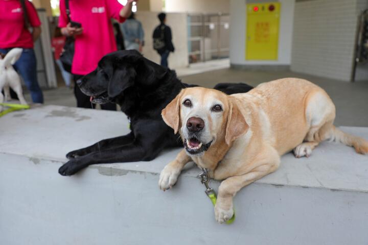 台中市动物之家后里园区开幕