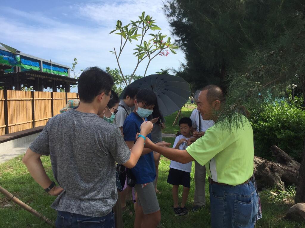 海滨植物导览解说