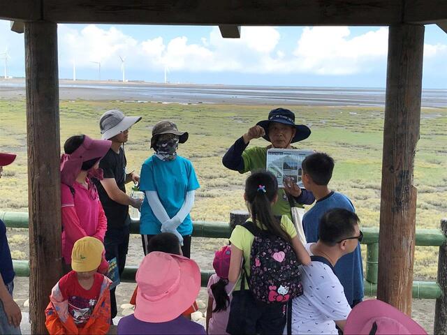 高美湿地生态导览图