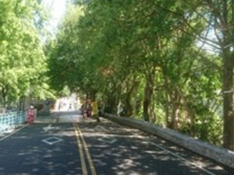 防疫無假期 重點景區加強防疫宣導 啟動人流管制