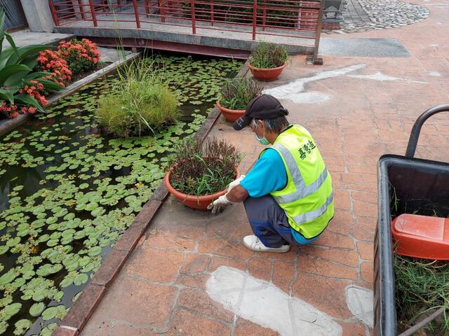 閉園期間園藝每日巡視修剪