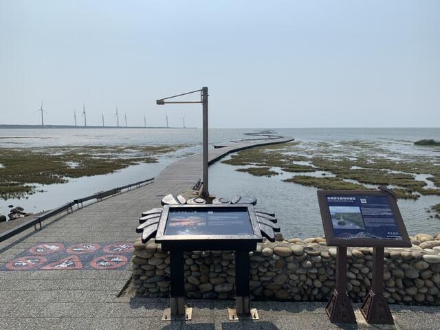 高美濕地木棧道0801起重新開放-人流管制上限691人