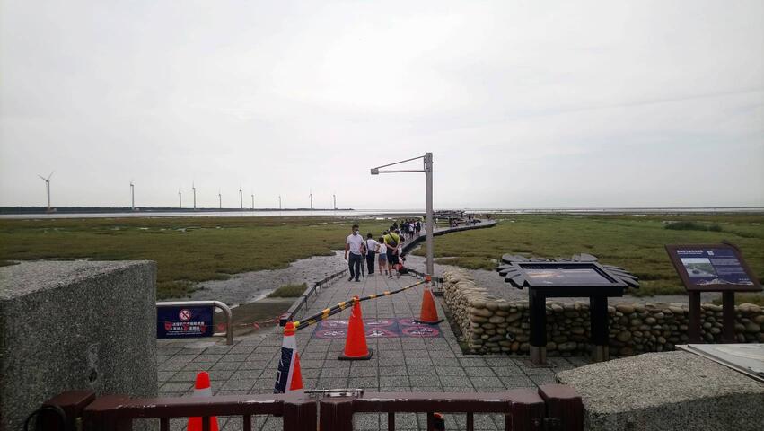 高美濕地木棧道0801起開放-首日狀況良好