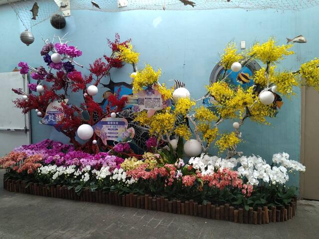 來梧棲漁港賞花-逛市集-嘗美食.