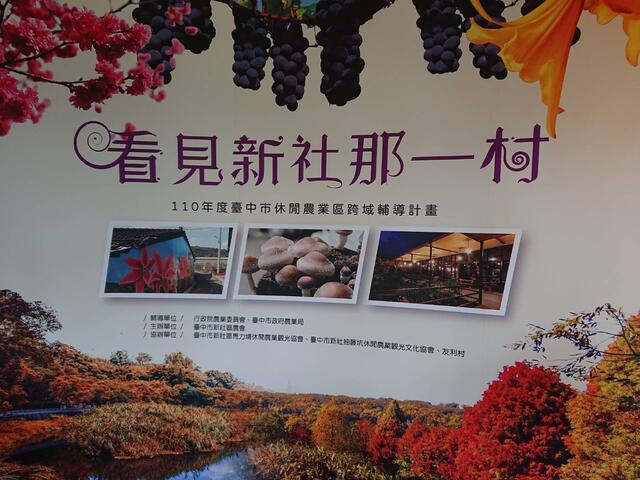 看见新社那一村