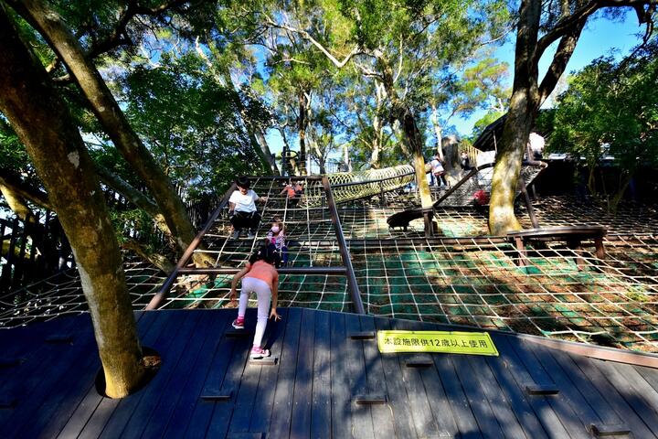 林間攀爬的樂趣