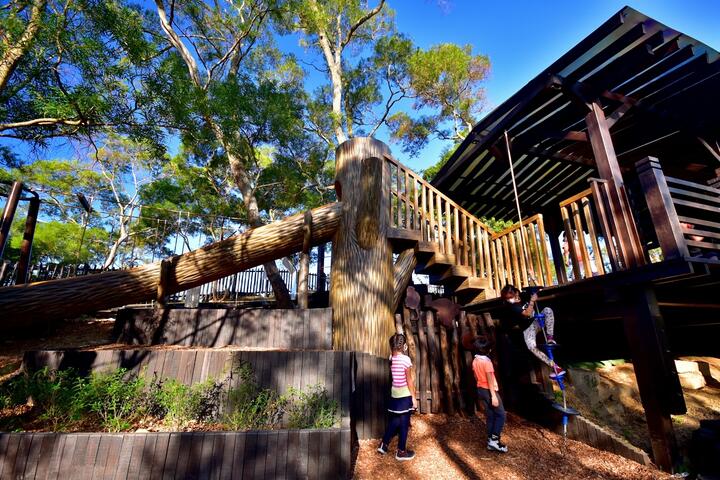 林間攀爬的樂趣