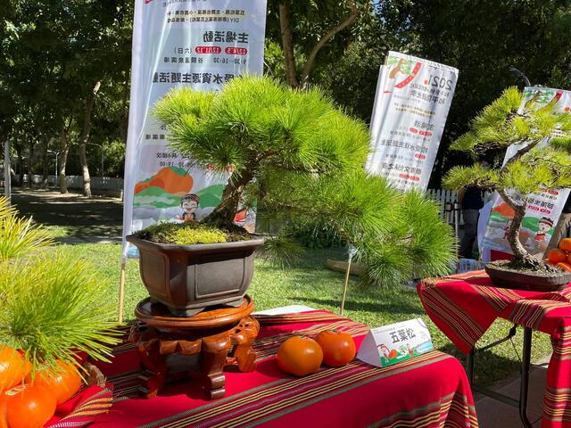 和平區占全市總面積4685-主要產業以休閒農業-觀光旅遊為主-出產甜柿-水蜜桃-蜜蘋果-水梨等精品級水果