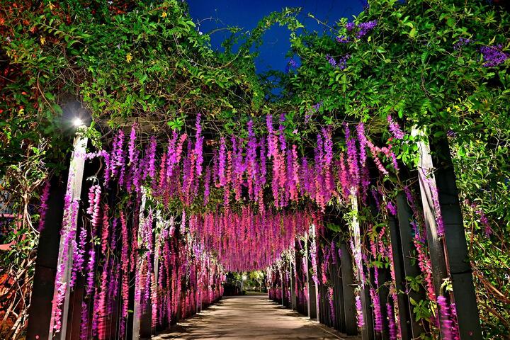 豐原葫蘆墩公園以豐遊為主軸