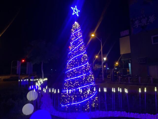 坪林森林公園以-希望森林-為主題