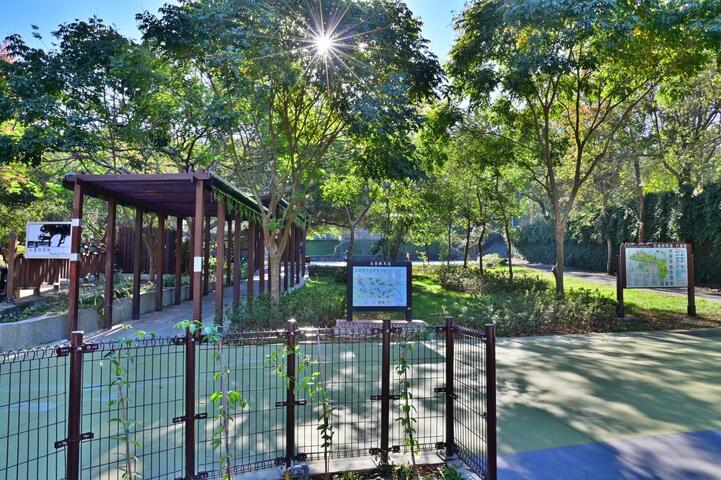 夫妻樹廣場旁駐車區