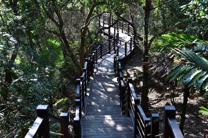 大坑9-1號步道施工完成