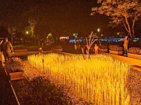 풍수(풍성한 수확)