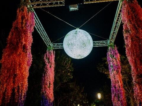 The face of the moon