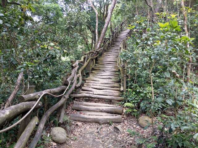 0kplus800附近桂花樹