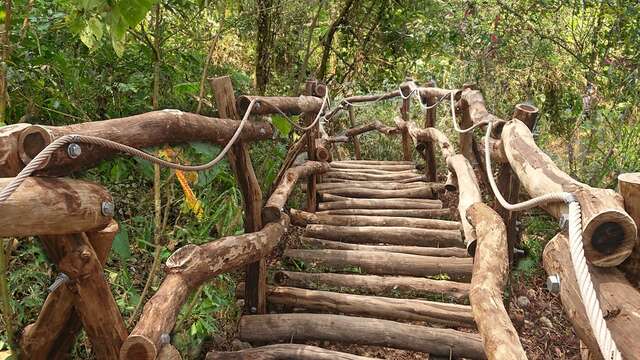 大坑3-1號高架步道模擬圖