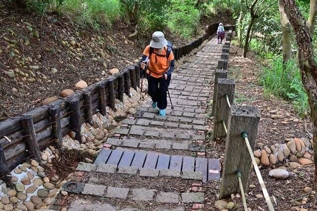 山友-fun-心享受森林浴