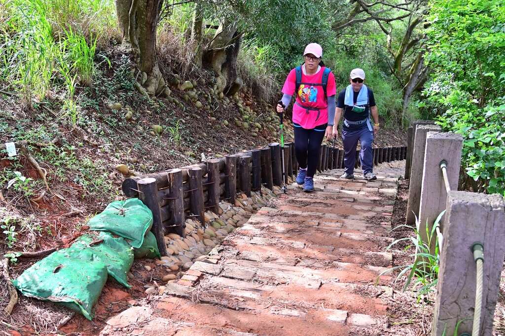 部分損壞欄杆也採減量設計以三索欄杆施作-並利用在地卵石鋪排成生態步道