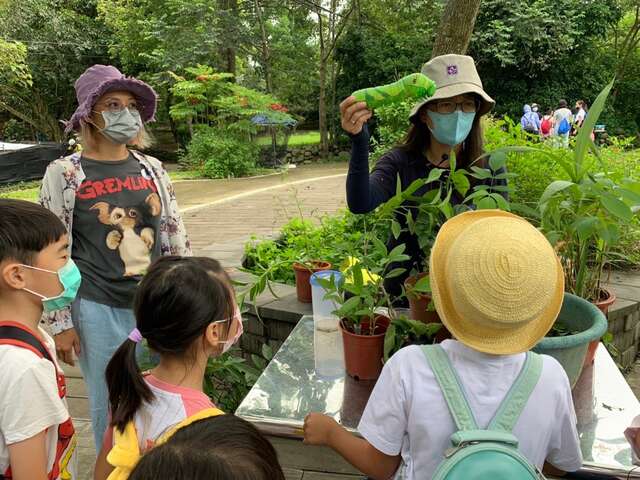 2022大坑蝶螢嘉年華