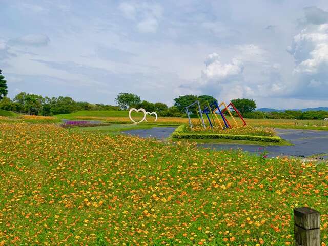 中秋假期賞花好去處