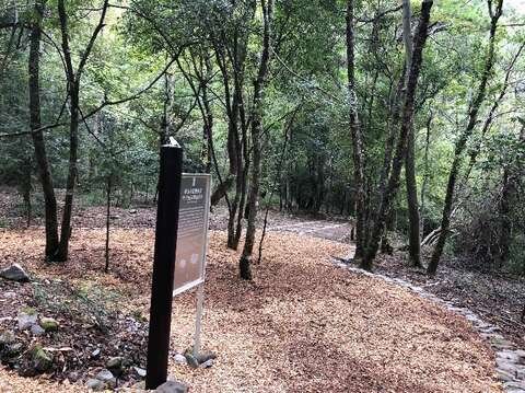環山獵人登山步道-粗木屑平台