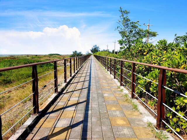 高美湿地自行车道-改善後