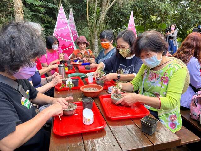 小品文青盆栽diy活動