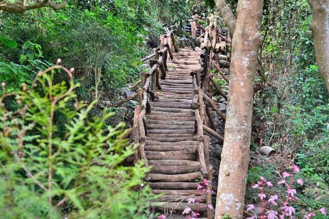 環狀系統步道-大坑3-1號登山步道新建完成