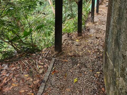 和平區埋伏坪步道復建工程施工後