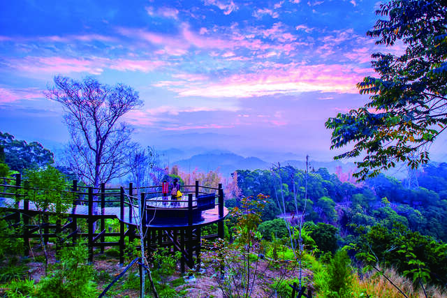 大坑九號步道之晨