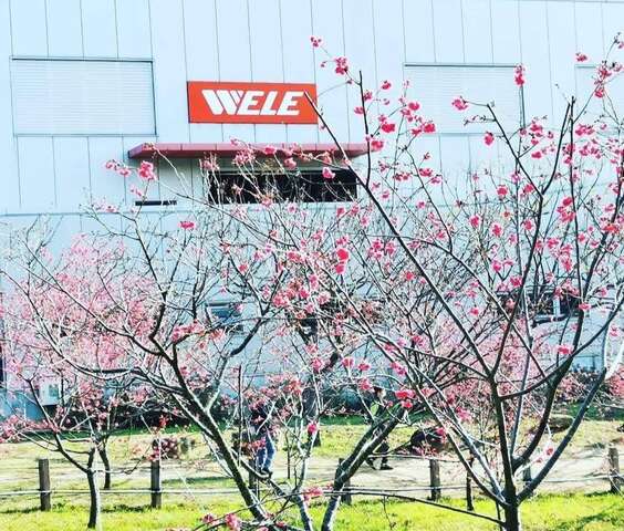 中科崴立櫻花公園