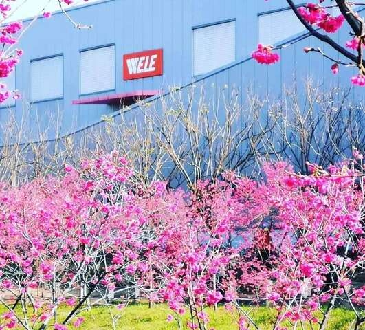 中科崴立櫻花公園2