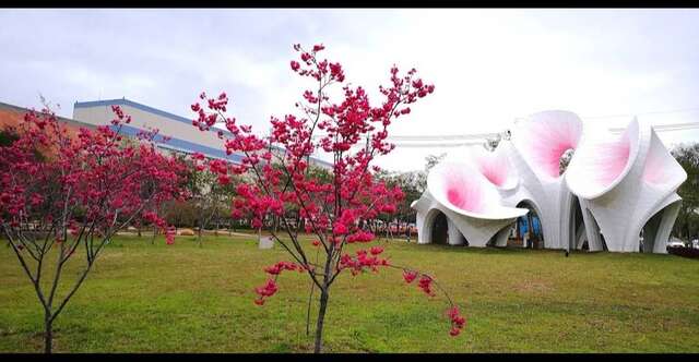 中科崴立櫻花公園3
