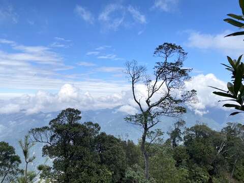台中市政府觀光旅遊局結合大玩台中app全新推出跨年度的數位化認證制度