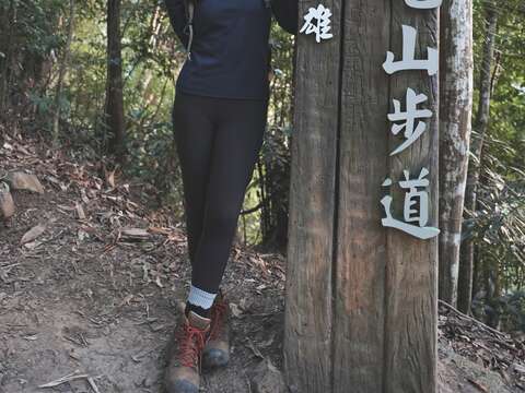 去年申請成長16667