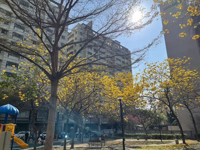 南屯區-三義公園