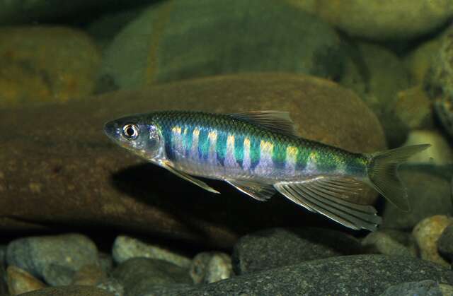 人文-生態-風能fun暑假藝文特展-詹見平攝影作品