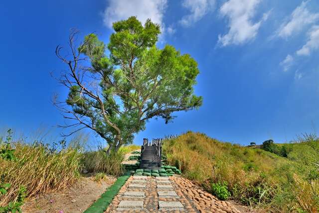 烏日雪蓮山步道好漢坡改善工程-步道照