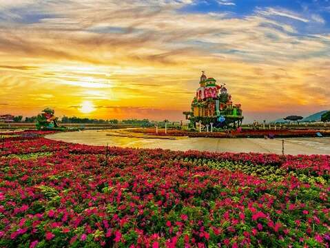 新社花海暨台中国际花毯节2_0_0