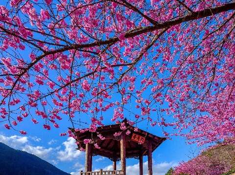 武陵山水情-四季皆风采-照片由国军退除役官兵辅导委员会授权-_0_0