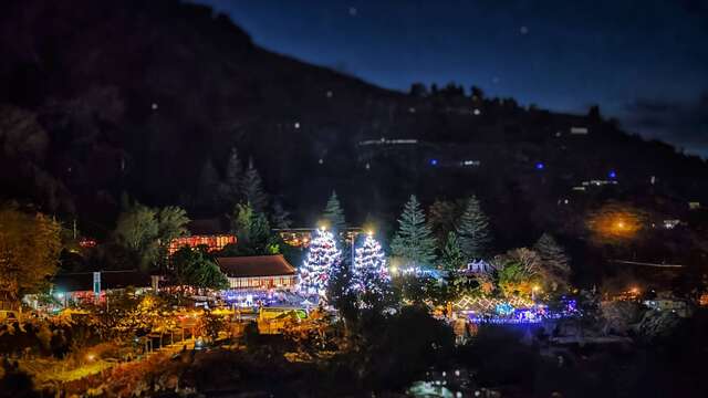 山谷燈光節梨山雪松
