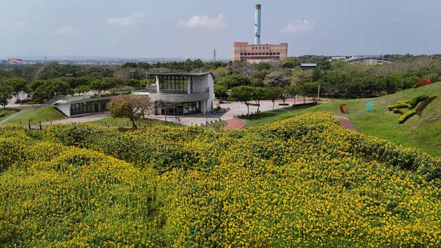 向日葵花海空拍图