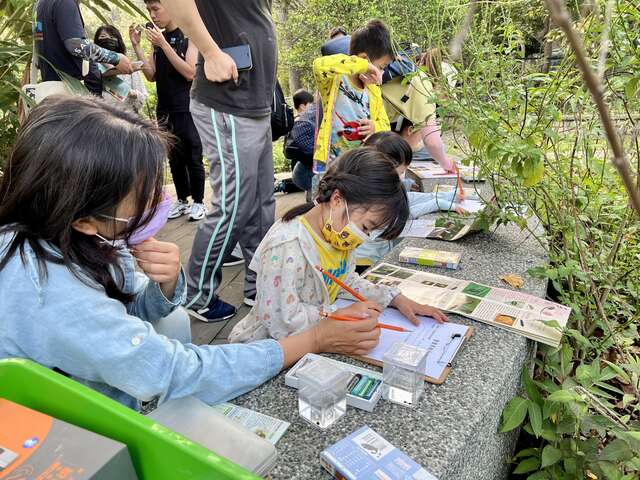 画出心中的萤火虫