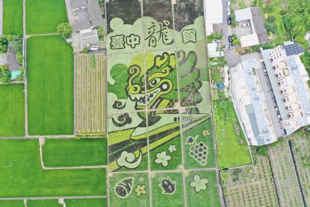 全農報稻-臺中龍賀稻田彩繪空拍圖_0