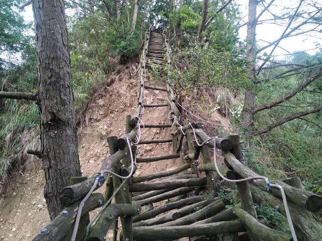 4号步道0kplus420-600间边坡崩塌_0