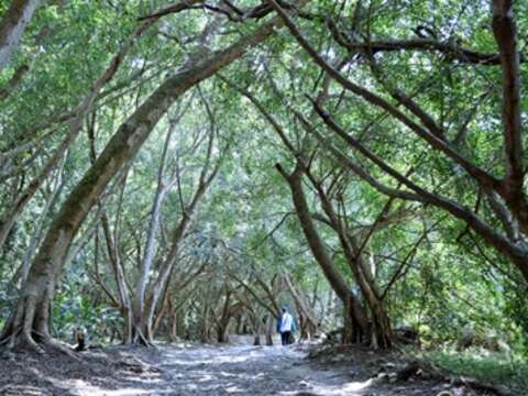 提升旅游品质-台中双步道广场空间升级-观旅局邀民众体验