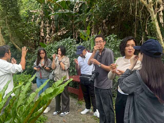 安妮公主花园五感体验